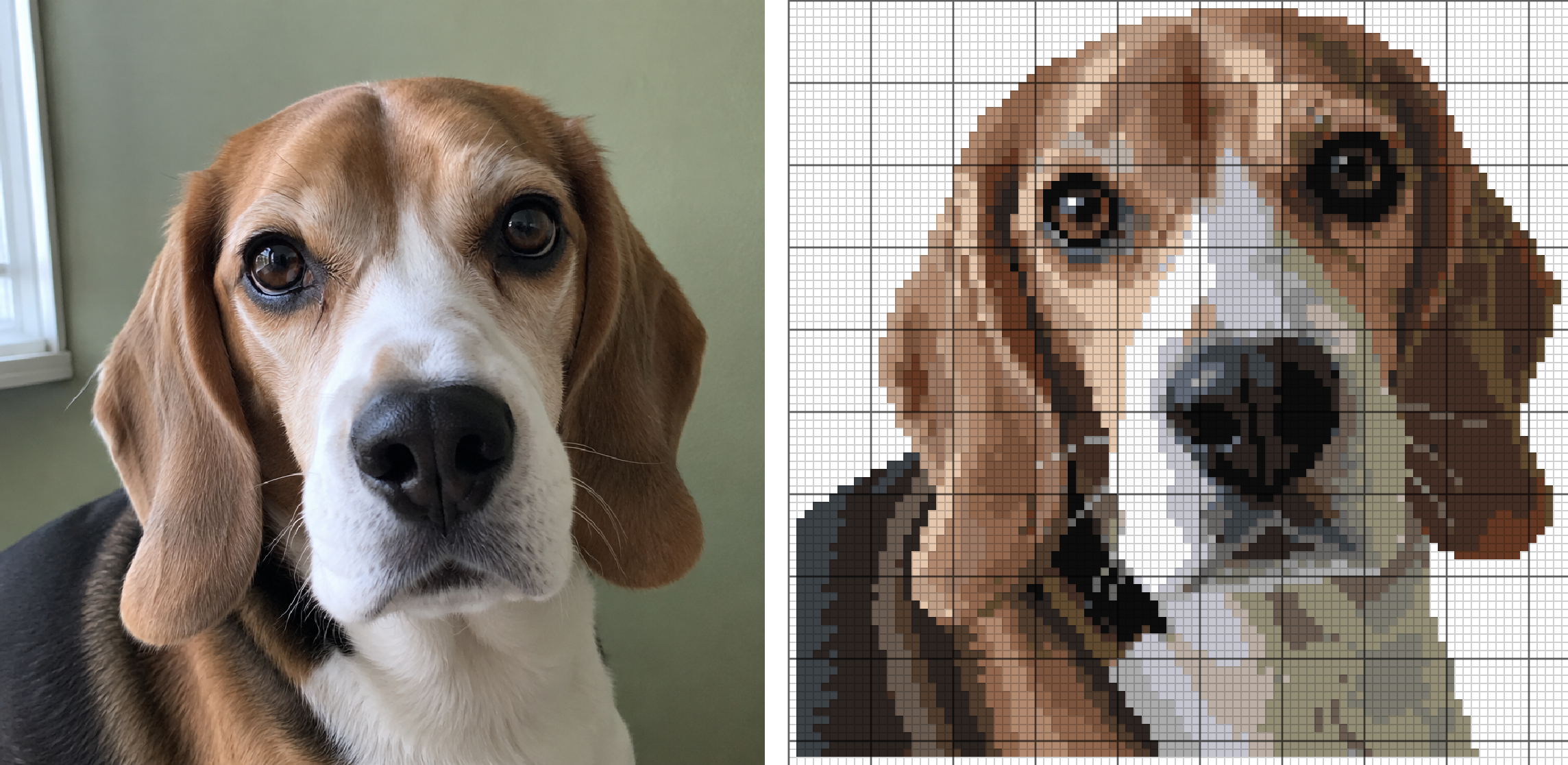 A dog photo beside the finished chart with the background cleared